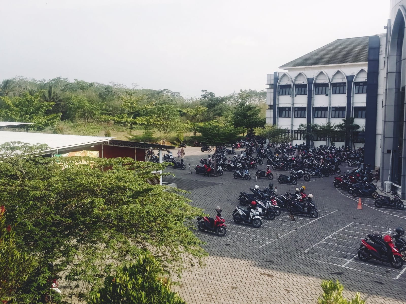 PBAK